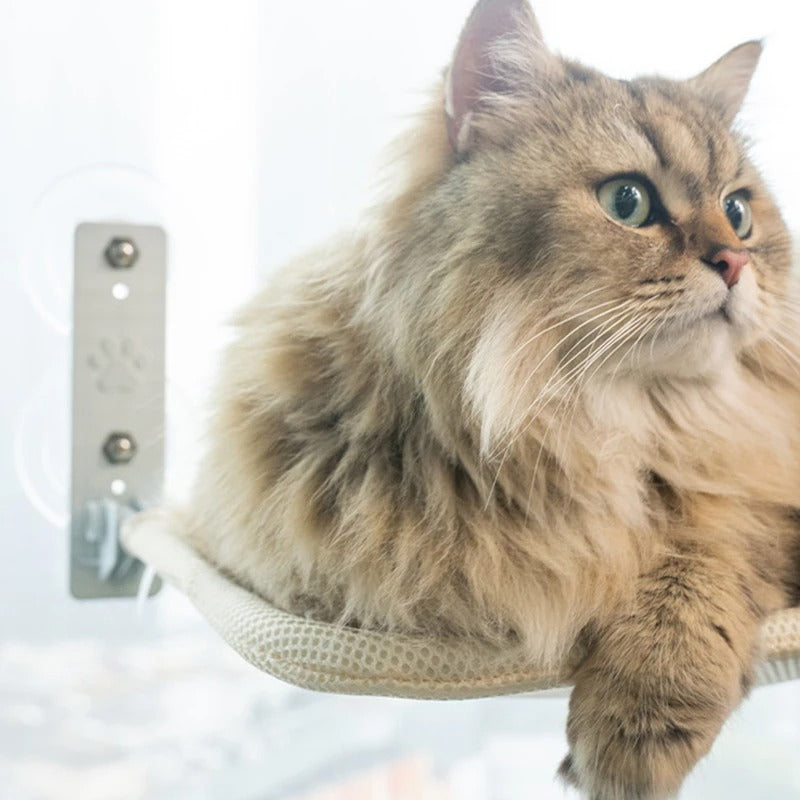 Entspannung pur für deine Katze: Unsere Katzenfenster-Liege ist das ideale Accessoire für dein Haustier. Einfach am Fenster befestigen und deine Katze kann entspannt die Aussicht genießen. Platzsparend und leicht zu installieren. Robustes Material und einfach zu reinigen. Bestelle jetzt die ideale Katzenfenster-Liege für ein glückliches Haustier und ein zufriedenes Herrchen/Frauchen!